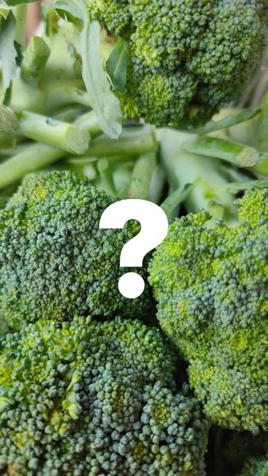 Thumbnail for "Snitch Investigates: Is Broccoli Really As Yummy As Mommy Claims?"