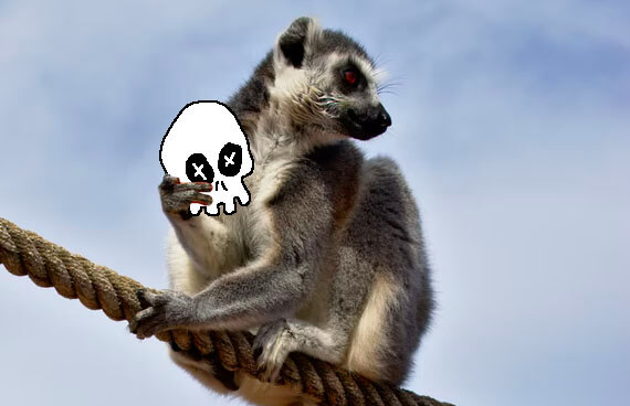 Thumbnail for "Fearing A Lemur Uprising, Madagascar’s Government Bans “Planet Of The Apes” Franchise"